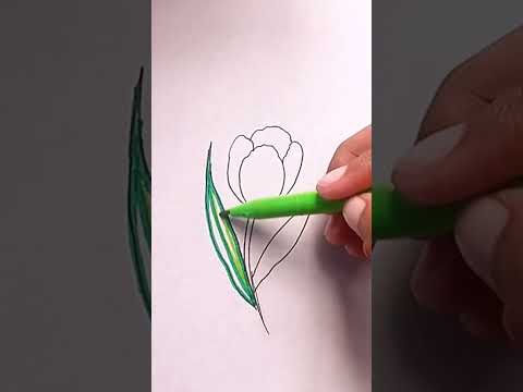 Easy way to draw a flower || #shortsmunibaarts