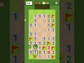 Minesweeper Pro