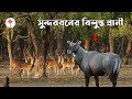 সুন্দরবনের বিলুপ্ত প্রাণী সমূহ Extinct Animals