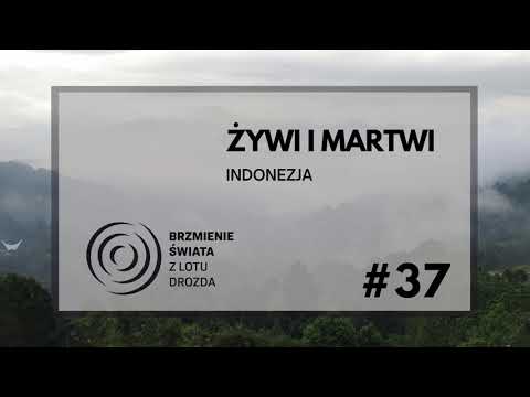 #37 - O życiu i śmierci w Toradży (występuje: Anna Maćkowiak)