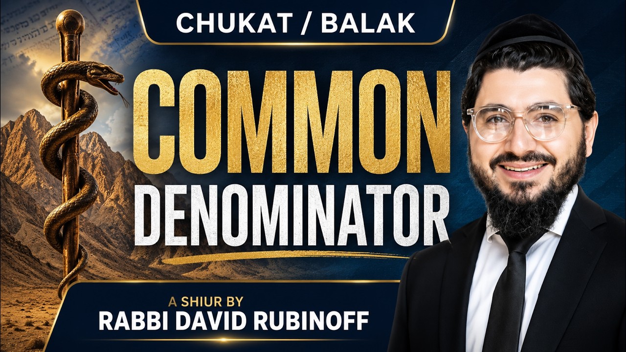 Common Denominator | Rabbi David Rubinoff | Chukat/Balak 5786