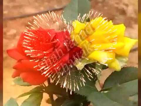 Beautiful flowers Tilawat e Quran Majeed Surah Rahman