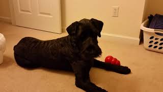 Boomer's Travels Episode 1