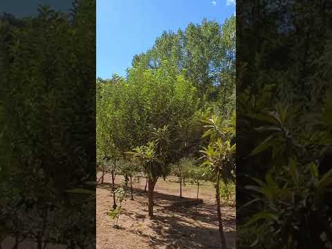 Hiking the Sentierelsa Trail Elsa Trail in Colle di Val d'Elsa, Italy