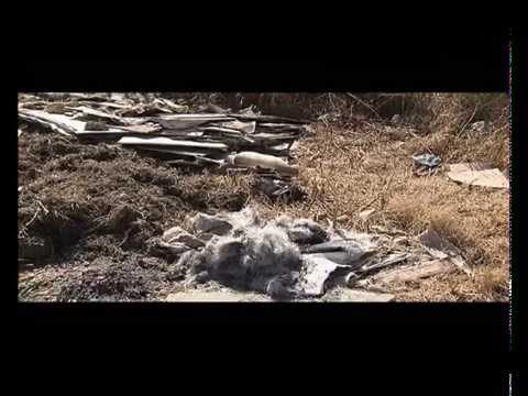 Special Assignment: Hate Crimes, 30 August 2015