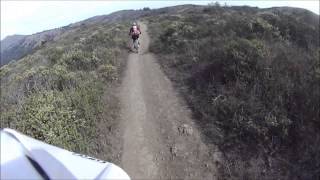 Coastal trail to Muir Beach up Diaz and over to Miwok.
