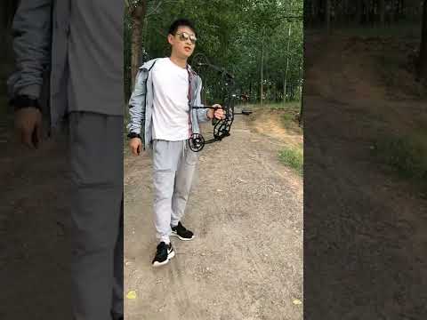 Just Test Bow And Arrow # 17