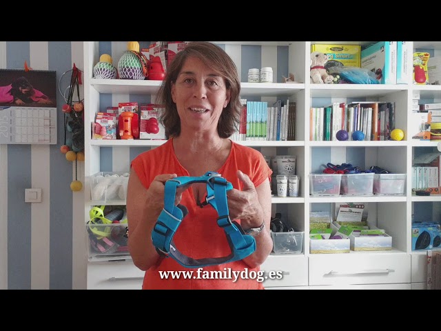 Vídeo relacionado con RUFFWEAR Arnés Front Range, arnés para Perros pequeños, arnés Reflectante en Y, Ajustable, cómodo, Acolchado, para pasear a Diario al Perro, arnés sin tirones, 2 Accesorios de Correa y Anillo en V,