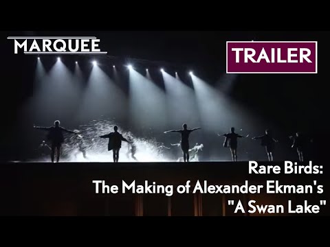Rare Birds:  The Making of Alexander Ekman's "A Swan Lake"
