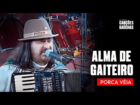 ALMA DE GAITEIRO - PORCA VÉIA (AO VIVO - CLIP DVD) | MÚSICA GAÚCHA