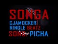Picha Songa Lyrics