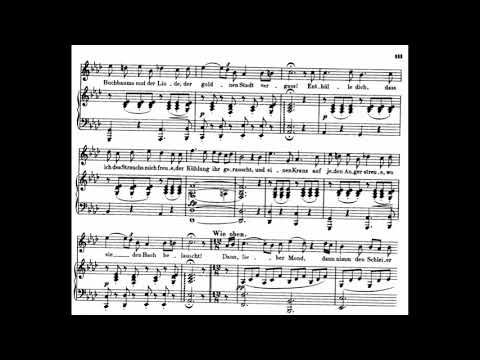 An den Mond (F.Schubert) D.193 in f minor / Piano accompaniment