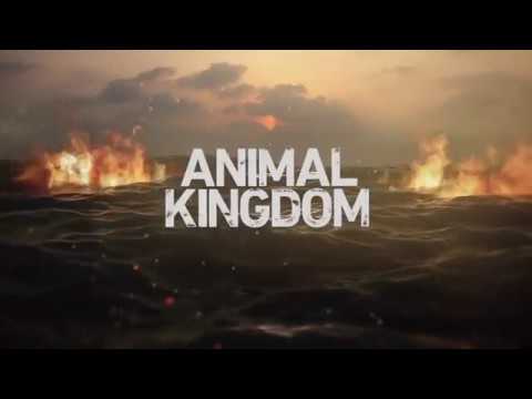 How Did ‘Animal Kingdom’ Season 2 End? Finale Recap Before Season 3 Premiere