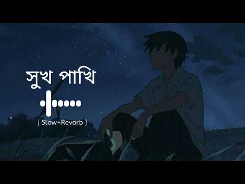 সুখ পাখি তোর প্রেমে মন মজাইয়া আমি / Shukh pakhi tor preme /| fa sumon bangla song lofi