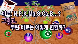 우리가 주는 비료 정말 N, P, K, Mg, Ca, S, B...이 원소 그대로 줄까? 그리고 뿌린 비료는…
