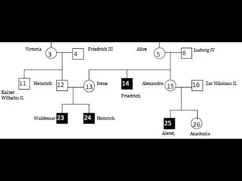 Stammbaumanalyse Bluterkrankheit