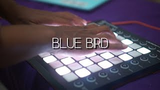 Download lagu BLUE BIRD NARUTO SHIPPUDEN OP3 cover... mp3