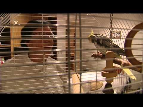 Die Zehn Gebote - Pendler Sachsen-Hessen