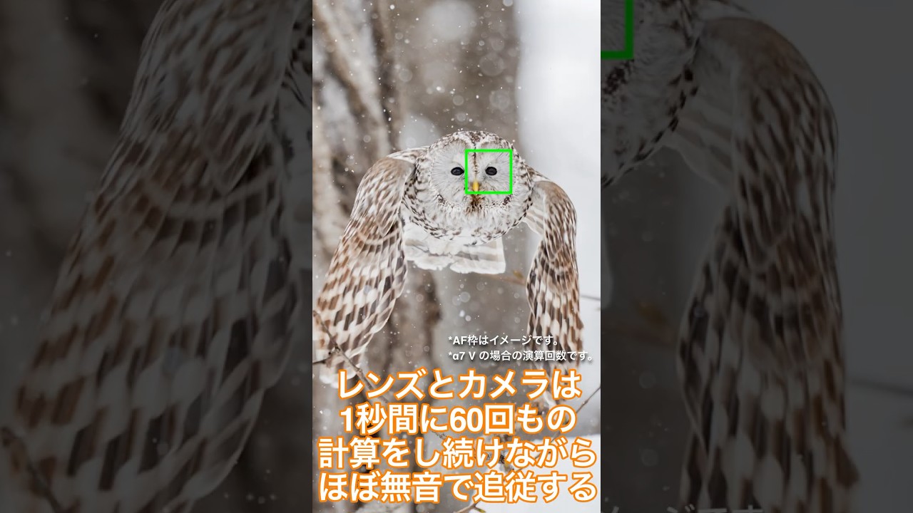 ソニーの極上レンズ群、G Masterの魅力 【いつか買うなら最初から】 #sony