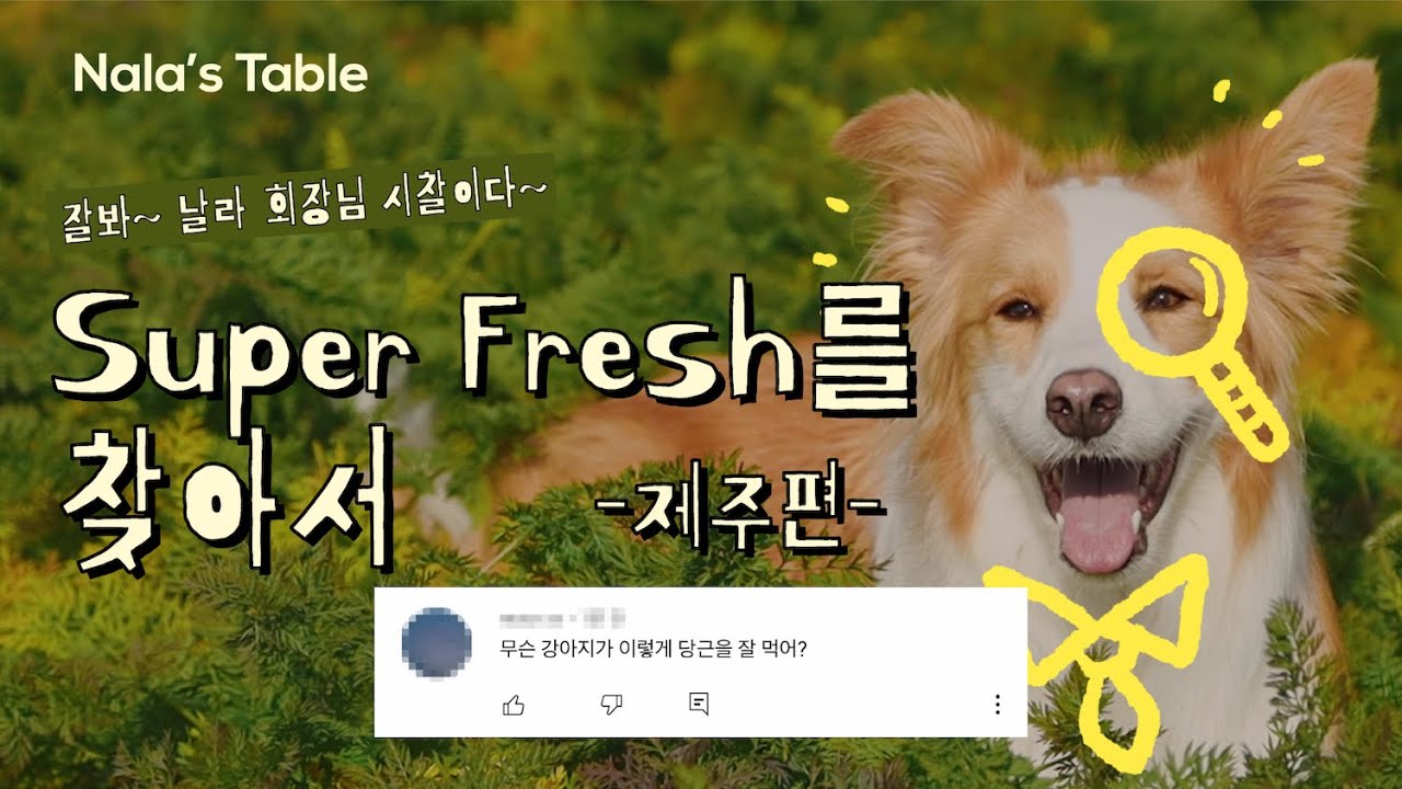 Nala's Table — Super Fresh를 찾아서 제주편