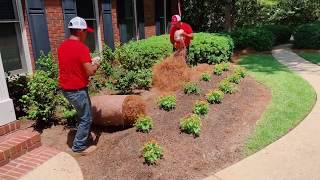 Longleaf Pine Straw Rolls - How to Install