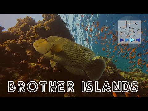 Brother Islands | Red Sea | Egypt 2021