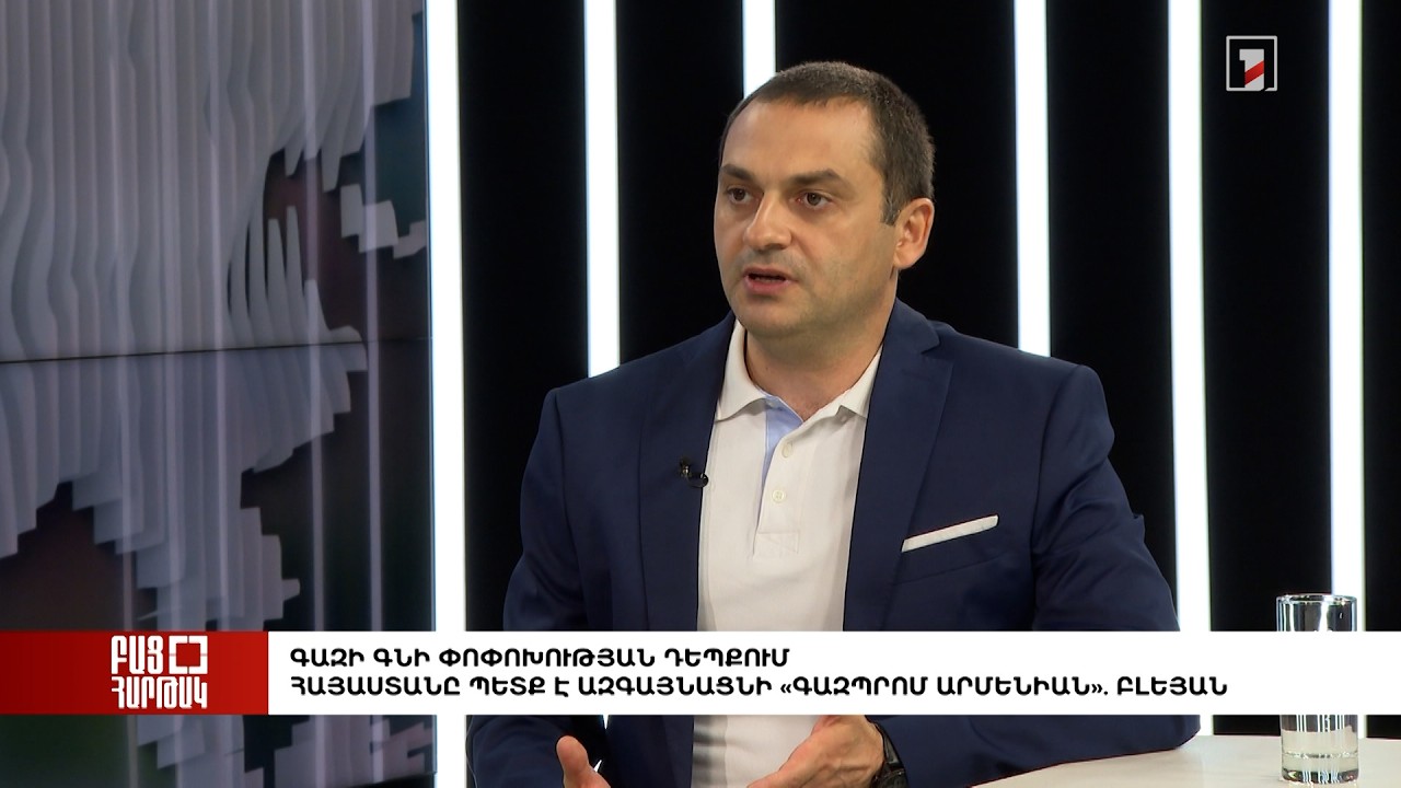 Բաց հարթակ․ Գազի գնի փոփոխության դեպքում պետք է ազգայնացնել «Գազպրոմ Արմենիան». Բլեյան
