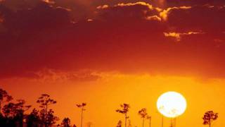 Ruzztle - Hummin' (Roy Ayers DnB remix)