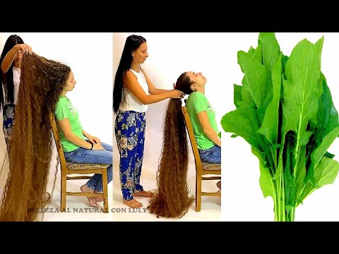 🪴1 single plant will help you shoot hair growth SPRAY MASSAGE AND GROW! 🆒