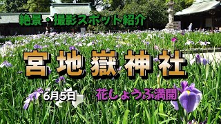 絶景・撮影スポット紹介　　宮地嶽神社　　4K映像