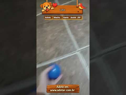 Vídeo de Luke 