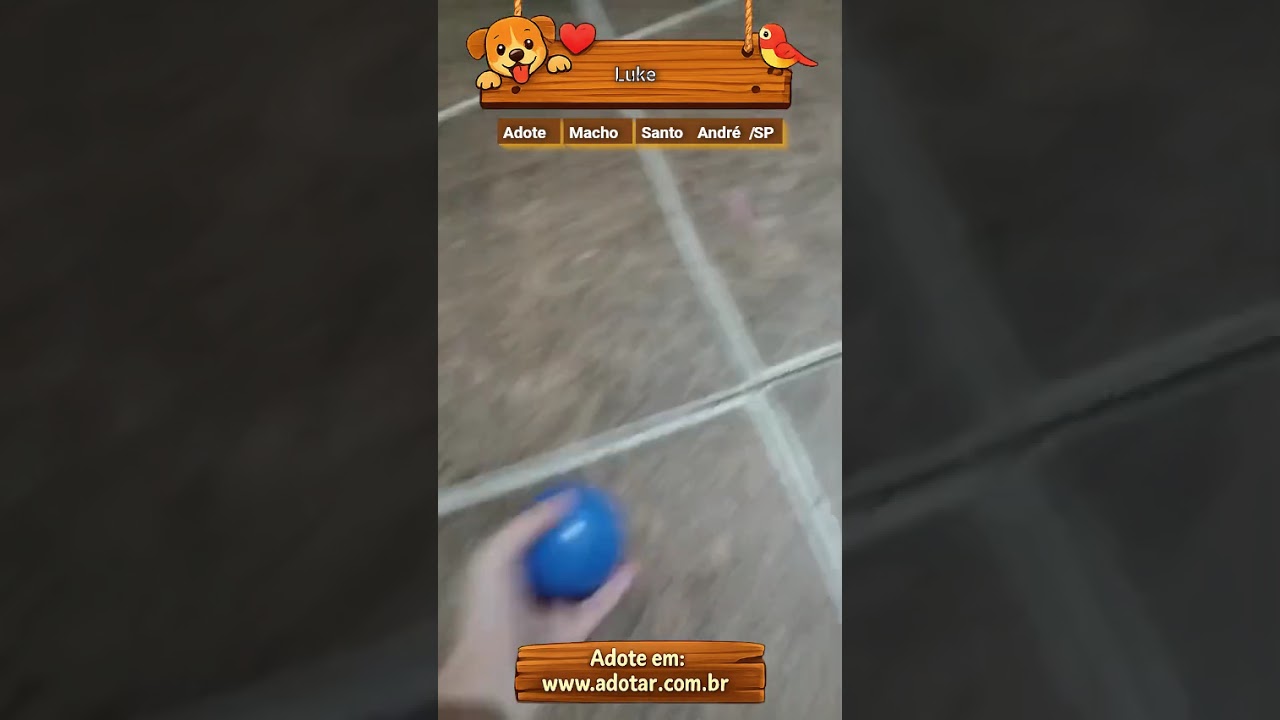 Cachorro raça SRD-ViraLata idade 2 a 6 meses nome Luke 