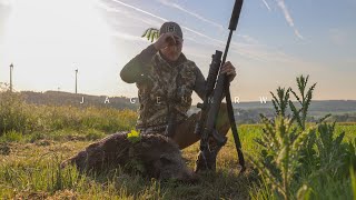 Was kann das ZEISS DTC 3/38?  – Vorstellung | Einschießen | Jagd