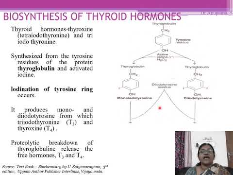 Aromatic Amino Acid Metabolism