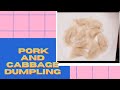 Pork and Cabbage Dumpling
