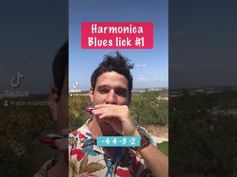 Harmonica Blues lick #1 (for beginners)