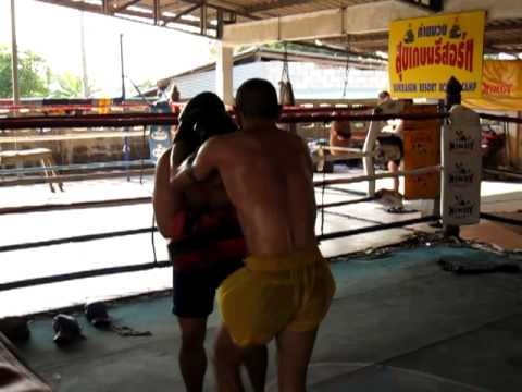 Sasa jovanovic brodica fighter