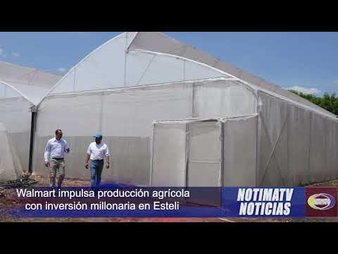 Walmart impulsa producción agrícola con inversión millonaria en Estelí