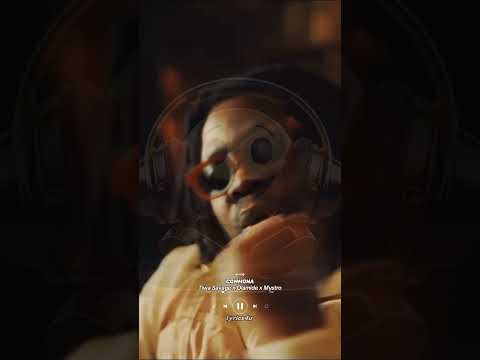 Tiwa Savage x Olamide x Mystro - Commona #lyrics #music #subscribeformore #viralvideo #afrobeats