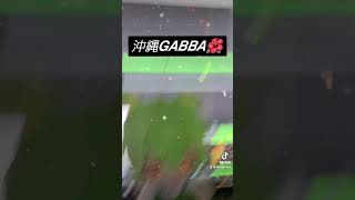 - 沖縄𝙂𝘼𝘽𝘽𝘼🌺 #shorts #gabbar