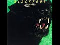 Blackfoot   Reckless Abandoner on Vinyl with Lyrics in Description