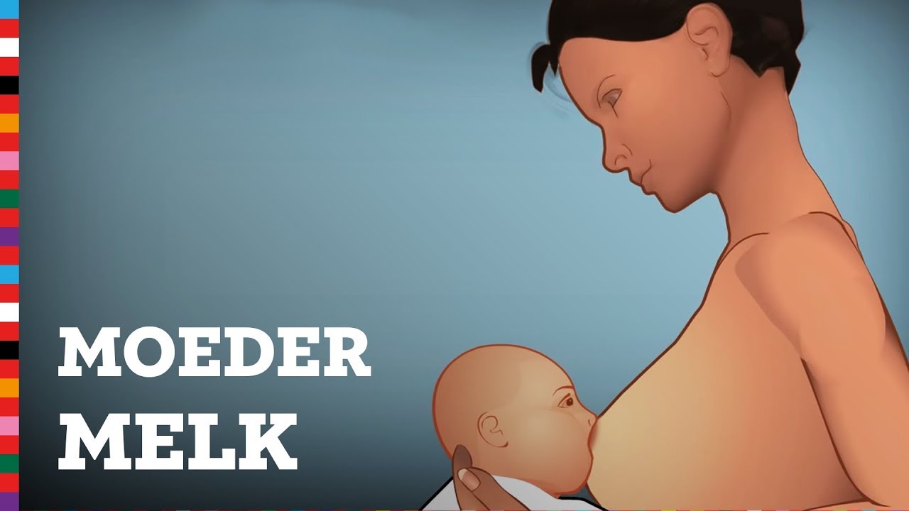 Borstvoeding geven: hoe werkt het? | Voedingscentrum
