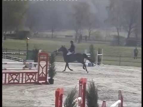 Zafira 8j St  v  Quo Vados