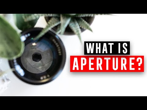 Camera Basics: APERTURE