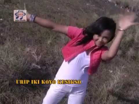 Mia MS - Janjine (Official Music Video)