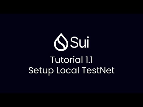 Sui Blockchain Tutorial 1.1 Setup Sui CLI from Binary
