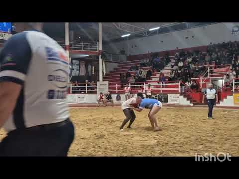 C.L.Tijarafe-Guanche- C.L. Arafo, marcador 12 -09  24 de Enero de 2026.