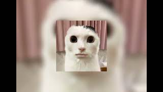 Download lagu god is a woman - kaito ariana grande (speed up) mp3 Download lagu god is a woman - kaito ariana grande (speed up) mp3