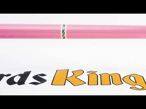 Rage RG97 Pool Stick - Cue View 360 - 4K Ultra HD Rotating 360 Degree Pan & Zoom