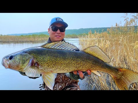 How to Finesse Jig for BIG WALLEYE (Ned Rig Technique)